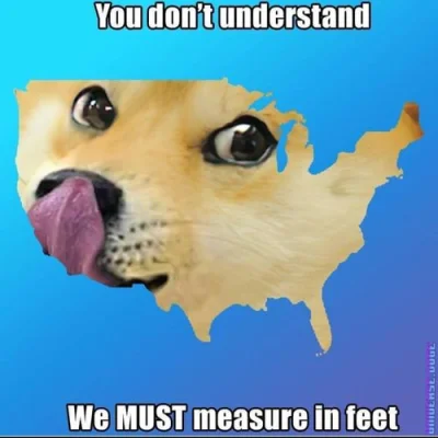 elf_pszeniczny - #piesel #doge #piesposting 

#stupki #stopyboners #usa #systemimperi...