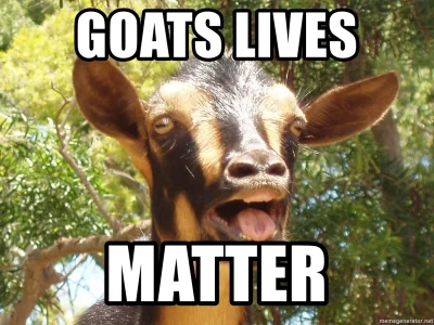 Herushingu - #goatlivesmatter ( ͡° ͜ʖ ͡°)