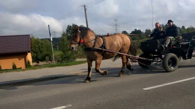 K.....k - Za jakiś czas dojdą do tego