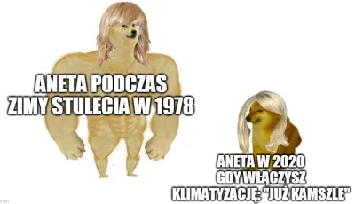 maxx92 - #heheszki #humorobrazkowy #klimatyzacja #aneta #lato #pracbaza #piesel