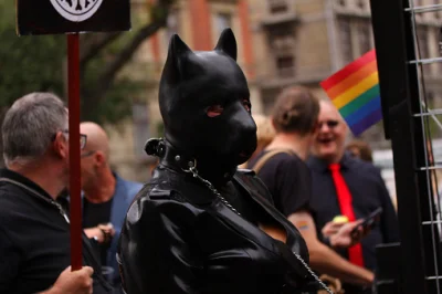 kufeleklomza - Ta kotka reprezentujaca na paradzie lgbt mniejszości identyfikujace si...
