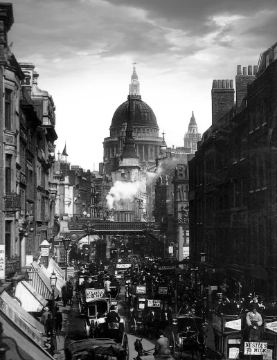 myrmekochoria - Londyn, 1894. 

#starszezwoje - tag ze starymi grafikami, miedziory...