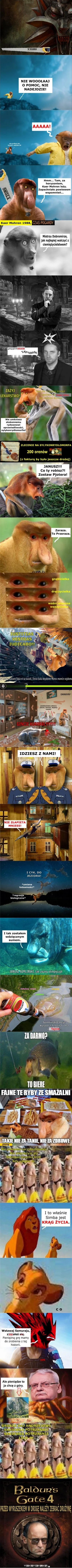 v.....s - #konkursnanajbardziejgownianymemznosaczem #nosaczsundajski #nosacz #heheszk...