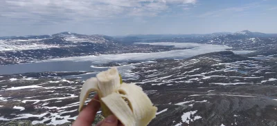 Stashqo - Dzień dobry.
Jem banana.

#podrozujzwykopem #norwegia #gory #hiking #chw...