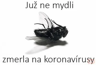 Heheszkeu