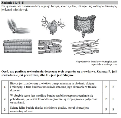 jmuhha - Jaka według was jest prawidłowa kolejnosc? 
#matura