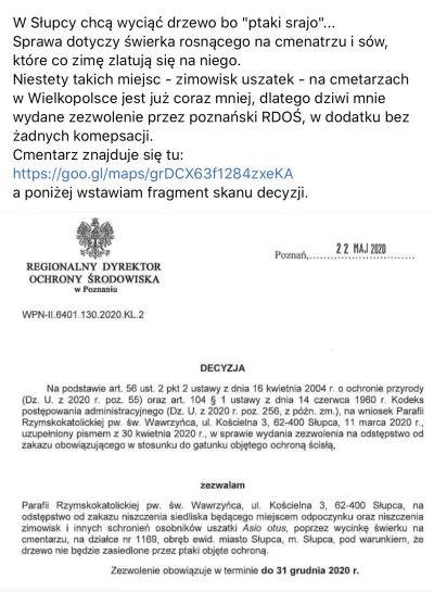 Pan_Slon - Gołębie sraja na cmentarzu? No to cyk i można wyciąć dorodne drzewo z sied...