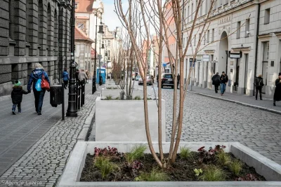 L.....u - Tyyyyle zieleni. Jak to pieknie wyglada. W Poznaniu jak się udaje postawić ...