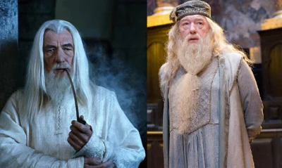 a.....7 - Dumbledore zawsze mi się kojarzył jako tania podróbka Gandalfa z jakiegoś f...