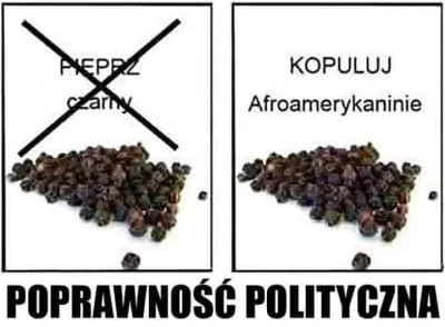 Xavax - #heheszki #poprawnoscpolityczna #czarny #pieprz