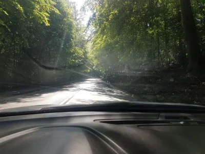 panzerschokolade - A wy jak tam na rowerkach? Odblaski i światełka zbędne bo przecież...