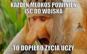 Trismagist - @nabzd: Ta i marnować najlepszy czas i mieć w pi*dzie te wszystkie szkol...