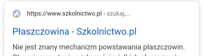 Leemonek_ - #matura z geografii: Jak powstaje płaszczowina?
Płaszczowina: