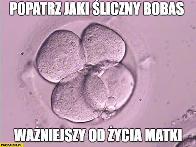 976497 - @Afrobiker: Głoszenie fałszywych informacji jest karalne - jak posługiwanie ...