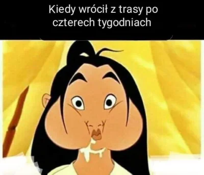 FeyNiX - #zycietruckera #ciezarowki #transport #bekaztransa #heheszki #humorobrazkowy