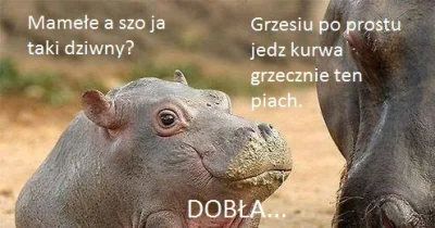 dzek - > ''dobra''

@szurszur: moje skojarzenie z tym słowem jest tylko jedno