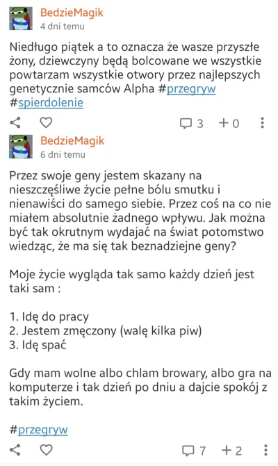 B.....W - ##!$%@? #przegryw #bekazpodludzi #blackpillraw #blackpill 

@BedzieMagik :
...