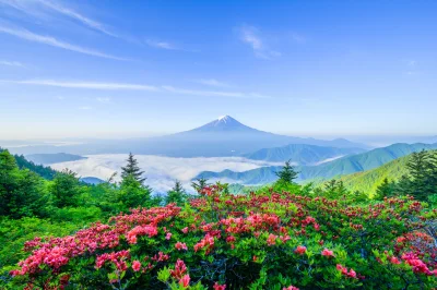 Lifelike - #photoexplorer #fotografia #japonia #krajobraz #gory #wulkan #przyroda 
A...