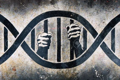 WwaDdl022 - Jestem więźniem beznadziejnych genów, nie miałem na to żadnego wpływu, lu...
