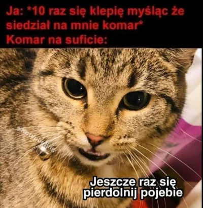 monteskjusz - #heheszki #humorobrazkowy