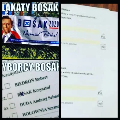 Einar_Thorwaldsen - Żeby nie było łoszukali wybory #Bosak #wybory #polityka #heheszki...