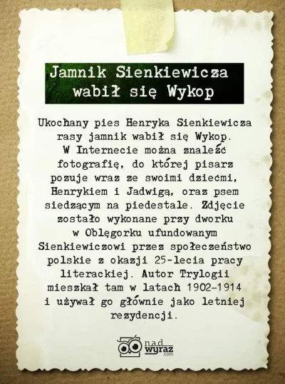 Janusz16