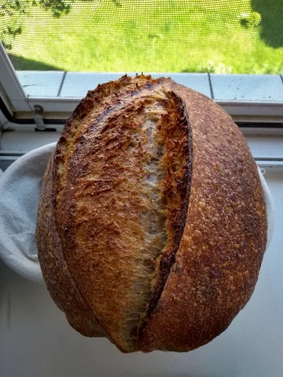 skotfild - Jak wam się podoba domowy chleb pszenno-żytni na zakwasie?
#bojowkapiekar...