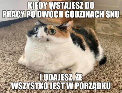 a2t1 - #humorobrazkowy #heheszki #smiesznekotki