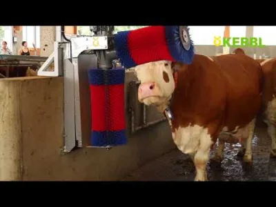 starnak - Cow Cleaning Machine HAPPYCOW Duo