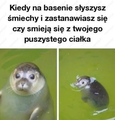 T.....i - #basen #foczkiboners #heheszki #humorobrazkowy