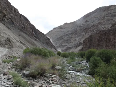 wojo - true story. W 2014r. w himalajach indyjskich (Ladakh) wpakowałem się schodząc ...