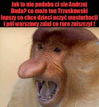 Mescuda - #tvpis #bekazpisu #humorobrazkowy #polityka