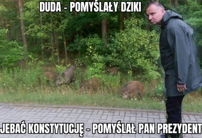 b.....a - dziki