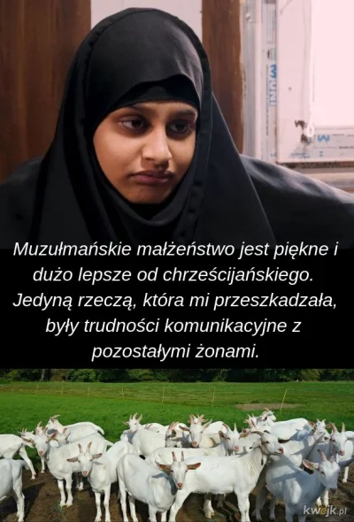 januszzczarnolasu - @Mecowaty: Podobnie jak seks z kozą to normalka jeśli wynika to z...