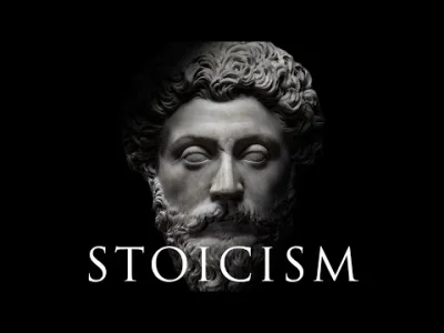 g.....u - Kompilacja stoickich cytatów.
#filozofia #stoicyzm trochę #motywacja
