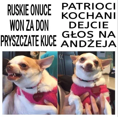 P.....k - Symetryczny wpis do wpisu o Trzaskowskim

Dlaczego jako wyborca Bosaka po...