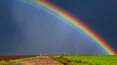 y.....o - W ostatnich dniach w wielu zakątkach Polski nasiliła się nachalna #homoprop...