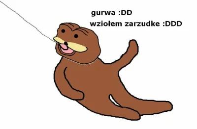 WuDwaKa - @kRz222: xD