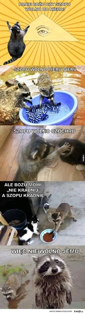 Szaa - #szop #heheszki #memy #paniebozu