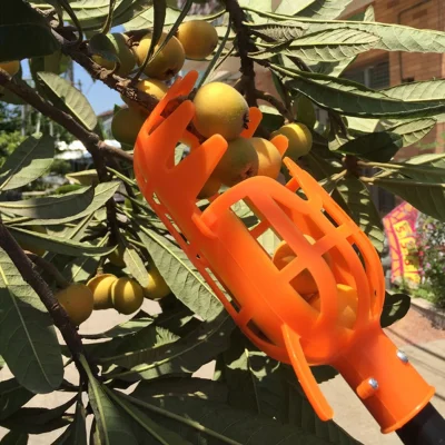 cebula_online - W Aliexpress
LINK - Zbieracz owoców Garden Tools Fruit Picker Head P...