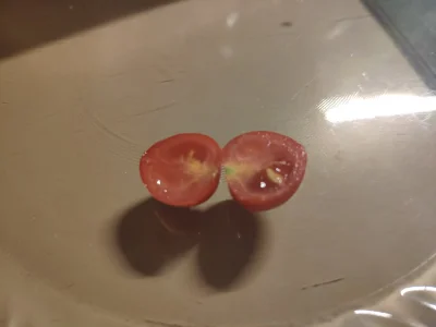 gobi12 - Mój pierwszy, własny pomidorek w tym sezonie zjedzony. (｡◕‿‿◕｡)

W komentarz...