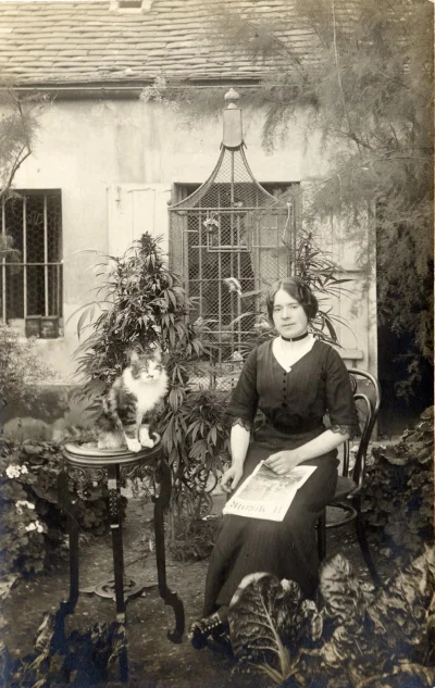 myrmekochoria - Portret kobiety z kotem i konopiami w ogrodzie, Paryż 1910.

#stars...