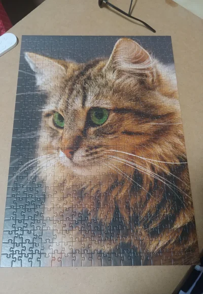 MadIen - ułożyłam sobie #puzzle z #kitku :3