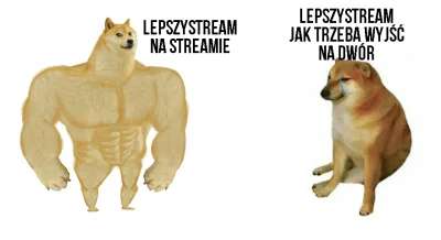 qwerzzz - @LepszyStream: