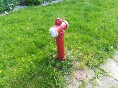 t.....1 - Zdjęcie przedstawia hydrant (czerwony). #codziennywysryw
