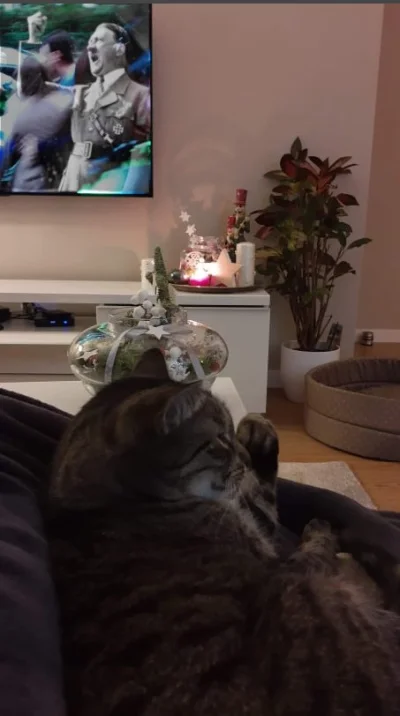 G....._ - Kot mojej różowej wykazuje niepokojące zachowania ( ͡° ͜ʖ ͡°)

#heheszki #k...