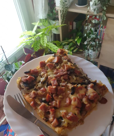 MojaPieknaRoslineczko - Na śniadanie domowa pizza z wczoraj. (｡◕‿‿◕｡)
A jak u Was? 
#...