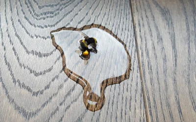 Fueryon - #smiesznypiesek #pszczoly
Mireczki, próbowałem uratować pszczołę, i nie wi...