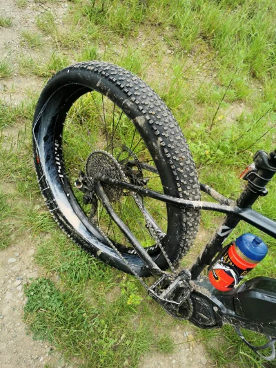 KuliG - Świeżo założony tubeless vs korzeń 

SPOILER

#rower