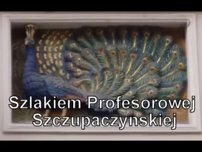 Historianiejest_nudna - Profesorowa Szczupaczyńska jest bohaterką trylogii autorstwa ...